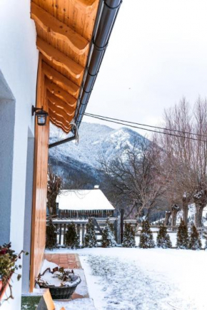 Ograda Magura village
